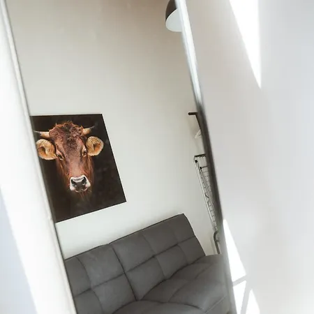 Daire Wohlfuehl Oase Loftwohnung Rottach Ab 3 Naechten *