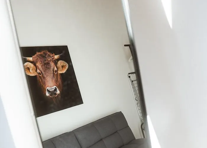Appartement Wohlfuehl Oase Loftwohnung Rottach Ab 3 Naechten *